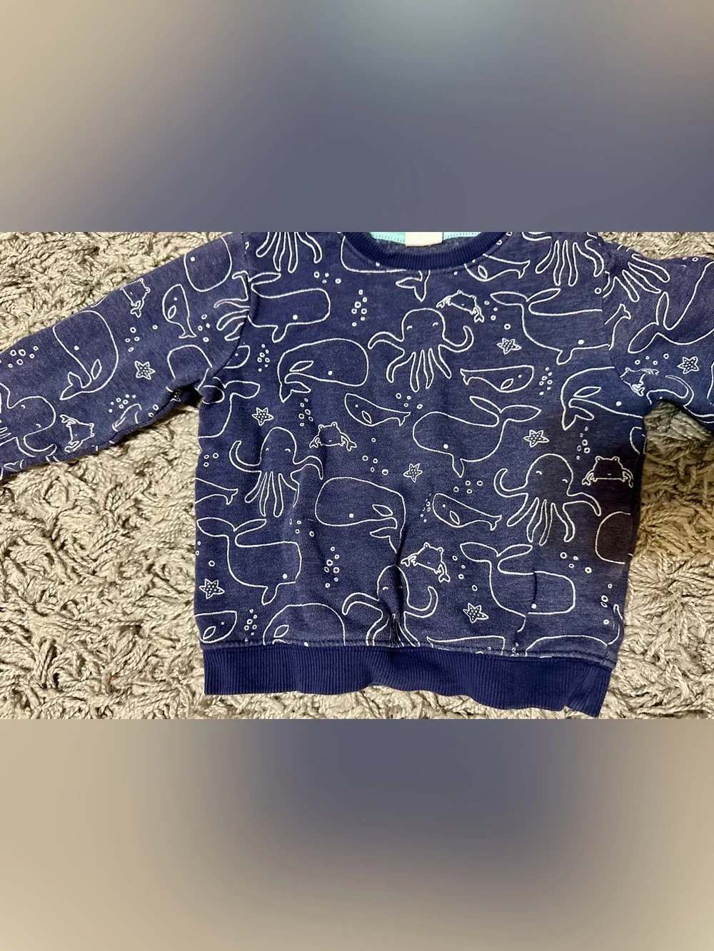 Gymboree Navy Sea Creatures Sweatshirt